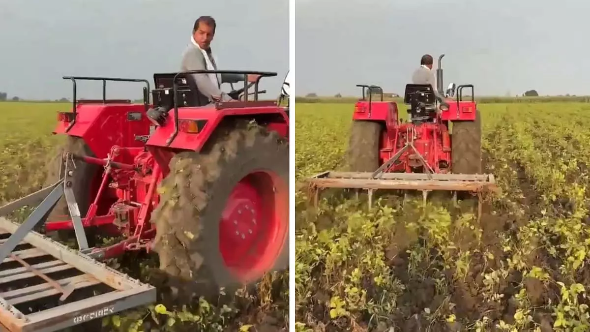 MP : सीहोर में परेशान सोयाबीन किसानों ने खड़ी फसल पर ट्रैक्टर चलाया MP : सीहोर में परेशान सोयाबीन किसानों ने खड़ी फसल पर ट्रैक्टर चलाया
