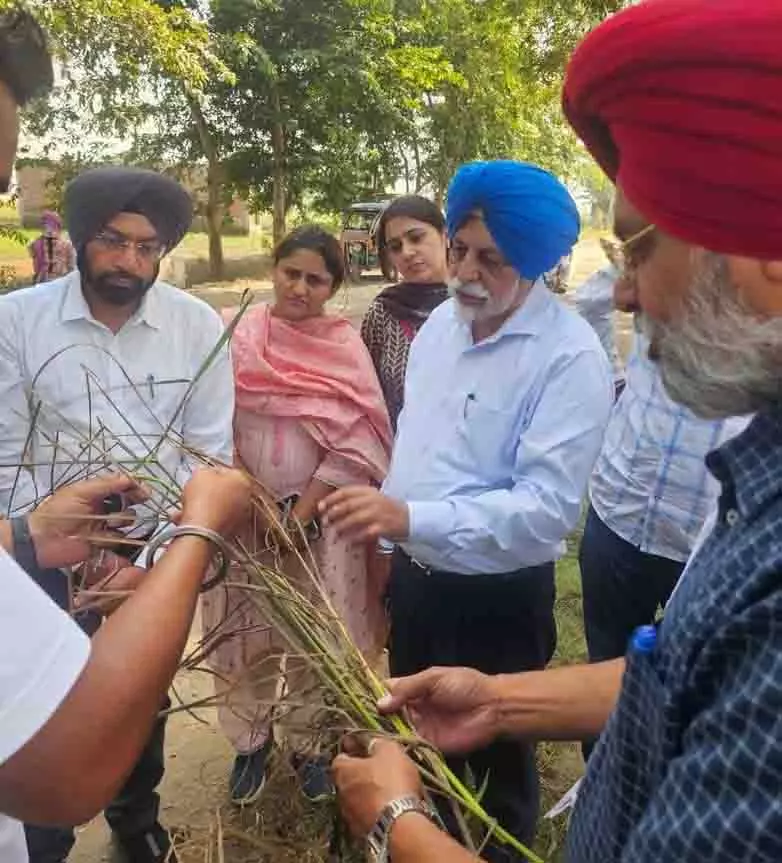 कृषि University के कुलपति ने बाढ़ प्रभावित जिलों का दौरा किया, किसानों को सहायता का आश्वासन दिया कृषि University के कुलपति ने बाढ़ प्रभावित जिलों का दौरा किया, किसानों को सहायता का आश्वासन दिया