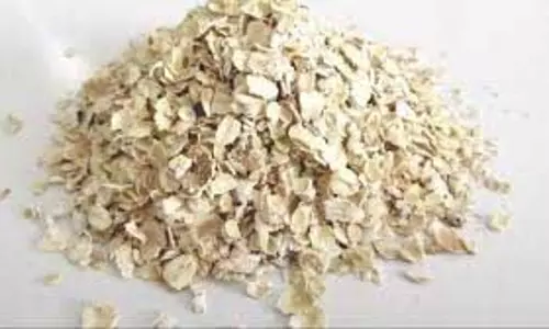 Recipe: इस लाजवाब ओट्स रेसिपी को खाएं, मोटापा कम होगा और पाचन क्रिया भी बेहतर होगी Recipe: इस लाजवाब ओट्स रेसिपी को खाएं, मोटापा कम होगा और पाचन क्रिया भी बेहतर होगी