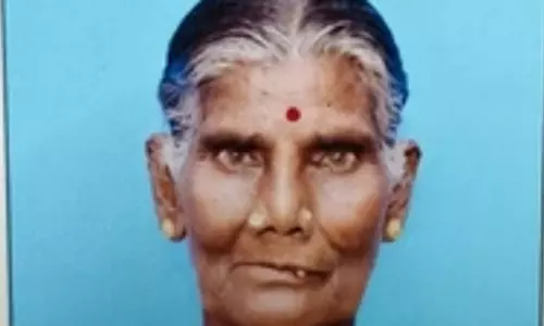 100 दिन काम करने के दौरान ततैया के डंक से बुजुर्ग महिला की मौत, 10 घायल