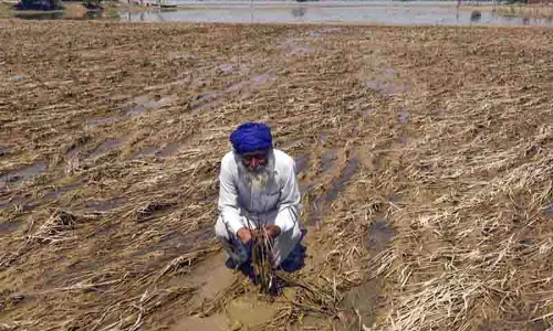 Punjab विधानसभा का सत्र बाढ़ प्रभावित किसानों के लिए राहत बढ़ाने पर विचार करेगा