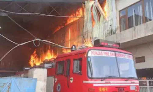 Kapurthala में गद्दा फैक्ट्री में आग लगने से लाखों का नुकसान Kapurthala में गद्दा फैक्ट्री में आग लगने से लाखों का नुकसान