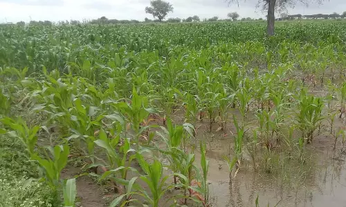 Nargunda : फसल क्षति मुआवजे में देरी से किसान नाराज