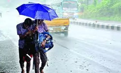 kerala: भारी बारिश के कारण तिरुवनंतपुरम में शैक्षणिक संस्थानों में अवकाश kerala: भारी बारिश के कारण तिरुवनंतपुरम में शैक्षणिक संस्थानों में अवकाश