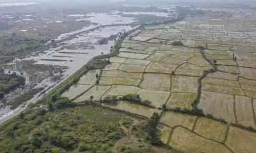 MUMBAI: बाढ़ प्रभावित इलाकों में 3 किसानों की आत्महत्या से मौत MUMBAI: बाढ़ प्रभावित इलाकों में 3 किसानों की आत्महत्या से मौत