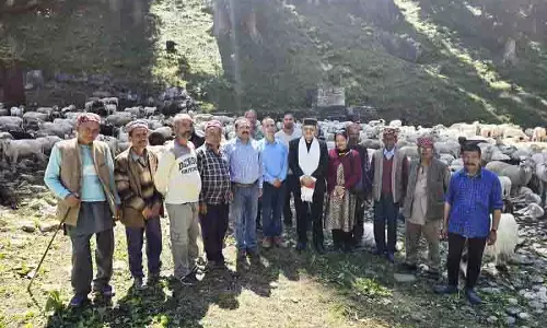 भेड़ चोरी की समस्या, Kullu DC ने त्वरित कार्रवाई और सहायता का वादा किया भेड़ चोरी की समस्या, Kullu DC ने त्वरित कार्रवाई और सहायता का वादा किया
