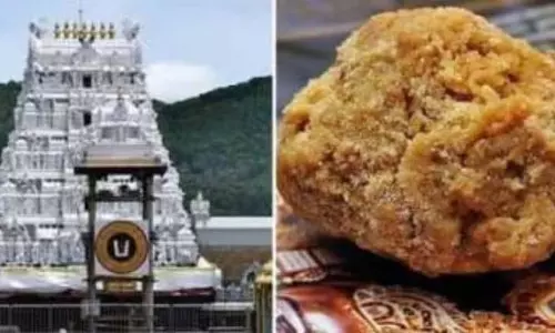 Tirupati लड्डू विवाद: सुप्रीम कोर्ट ने सीबीआई जांच पर आंध्र प्रदेश हाईकोर्ट के आदेश पर रोक लगाई Tirupati लड्डू विवाद: सुप्रीम कोर्ट ने सीबीआई जांच पर आंध्र प्रदेश हाईकोर्ट के आदेश पर रोक लगाई