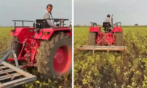MP : सीहोर में परेशान सोयाबीन किसानों ने खड़ी फसल पर ट्रैक्टर चलाया MP : सीहोर में परेशान सोयाबीन किसानों ने खड़ी फसल पर ट्रैक्टर चलाया