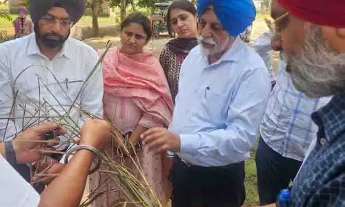 कृषि University के कुलपति ने बाढ़ प्रभावित जिलों का दौरा किया, किसानों को सहायता का आश्वासन दिया