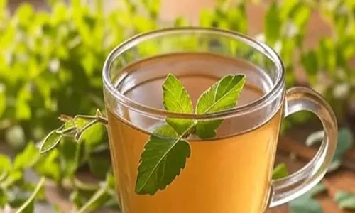 तुलसी का काढ़ा: मां के आशीर्वाद जैसी जड़ी-बूटी, जो रोग और इम्यूनिटी दोनों को संभाले तुलसी का काढ़ा: मां के आशीर्वाद जैसी जड़ी-बूटी, जो रोग और इम्यूनिटी दोनों को संभाले