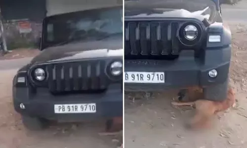 Ludhiana: जिम जाते वक्त थार से कुत्ता कुचला, व्यक्ति गिरफ्तार Ludhiana: जिम जाते वक्त थार से कुत्ता कुचला, व्यक्ति गिरफ्तार