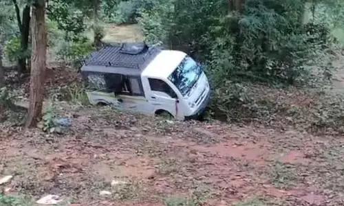 बच्चों से भरी स्कूल वैन सड़क से उतरी, चालक नशे में था आरोपी