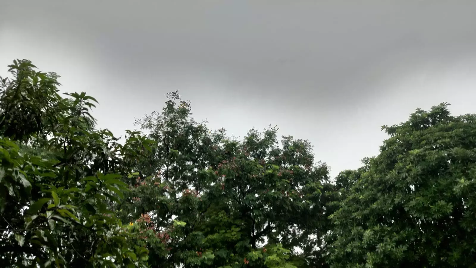 भारी बारिश का अलर्ट दुर्ग और रायपुर संभाग में भारी बारिश का अलर्ट दुर्ग और रायपुर संभाग में