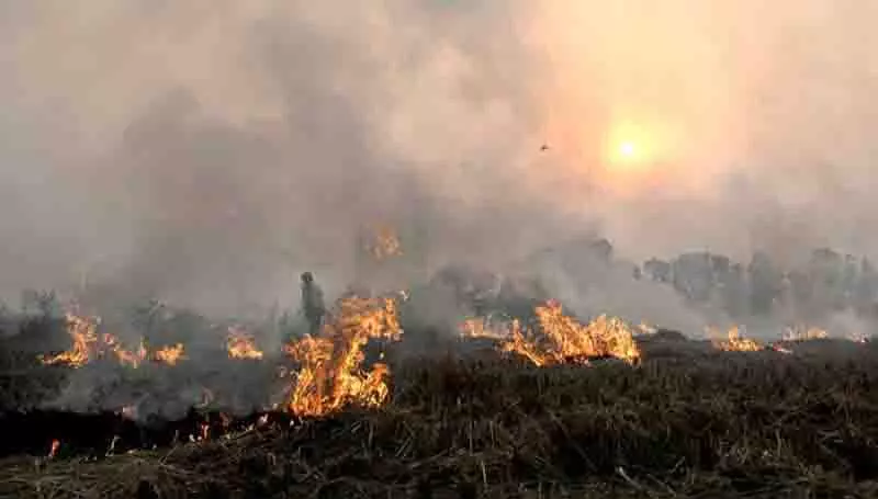 Punjab में 24 घंटे में केवल एक खेत में आग लगने की घटना, कुछ राहत Punjab में 24 घंटे में केवल एक खेत में आग लगने की घटना, कुछ राहत