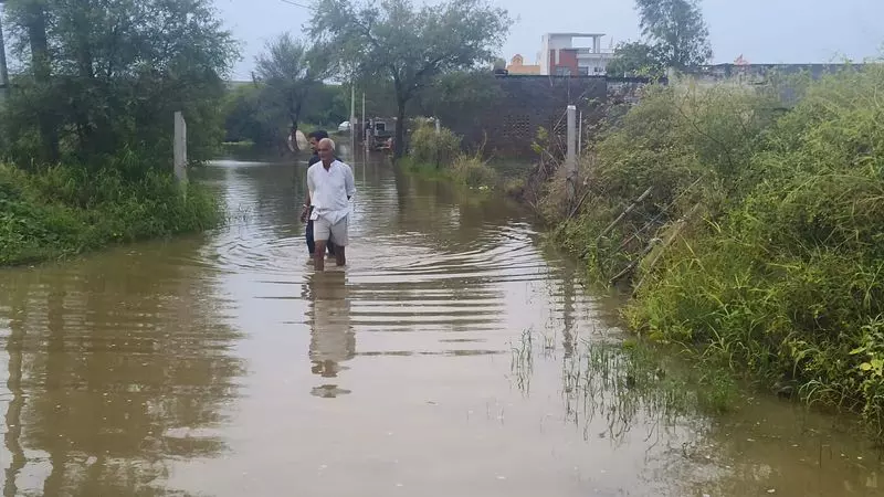 Hisar के 10 गांव अभी भी जलमग्न, सिंचाई विभाग ने जल निकासी अभियान तेज किया Hisar के 10 गांव अभी भी जलमग्न, सिंचाई विभाग ने जल निकासी अभियान तेज किया