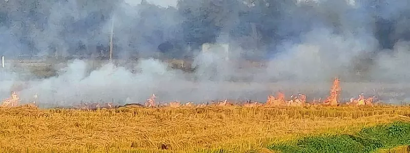 Haryana : कैथल में खेतों में आग लगने की घटनाएं शून्य हों डीसी ने अधिकारियों से कहा Haryana : कैथल में खेतों में आग लगने की घटनाएं शून्य हों डीसी ने अधिकारियों से कहा