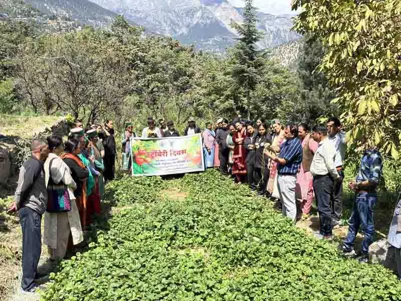 Kinnaur के किसानों ने स्ट्रॉबेरी दिवस पर रसायन मुक्त खेती का संकल्प लिया Kinnaur के किसानों ने स्ट्रॉबेरी दिवस पर रसायन मुक्त खेती का संकल्प लिया