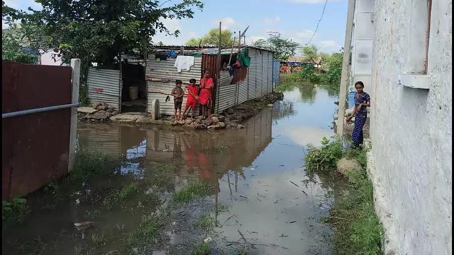 अलमेला बाढ़; तीन गाँवों में देखभाल केंद्र अलमेला बाढ़; तीन गाँवों में देखभाल केंद्र