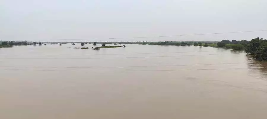 Bidar : मांजरा नदी खतरे के स्तर पर Bidar : मांजरा नदी खतरे के स्तर पर