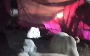 रिसेप्शन पार्टी में घुसी कार, मची अफरा-तफरी रिसेप्शन पार्टी में घुसी कार, मची अफरा-तफरी