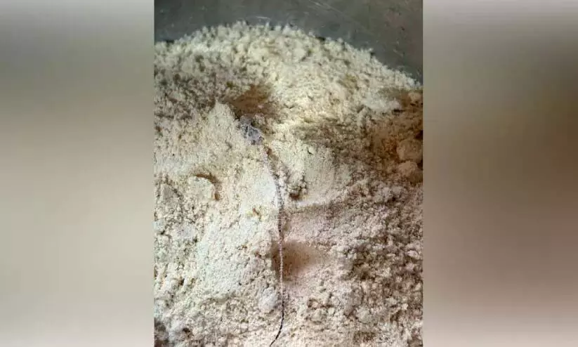 Kerala : आंगनवाड़ी से खरीदे गए अमृत चूर्ण में एक मरी हुई छिपकली पाई गई Kerala : आंगनवाड़ी से खरीदे गए अमृत चूर्ण में एक मरी हुई छिपकली पाई गई