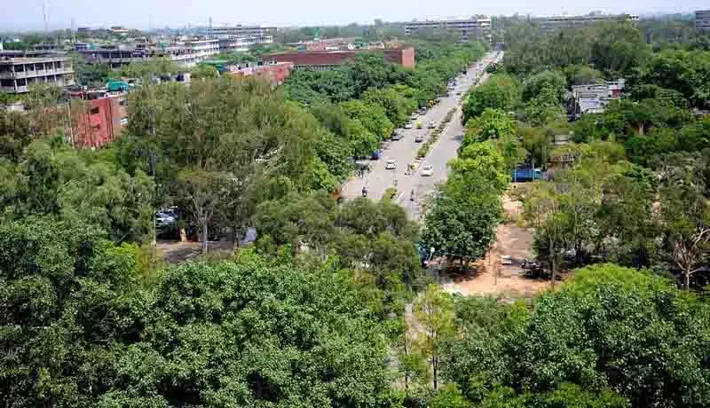 Chandigarh में वन क्षेत्र एक दशक में 7 वर्ग किलोमीटर से अधिक बढ़ा Chandigarh में वन क्षेत्र एक दशक में 7 वर्ग किलोमीटर से अधिक बढ़ा