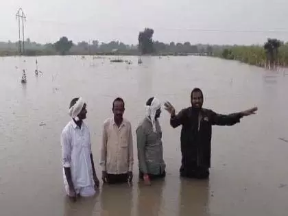 बाढ़ के बीच उद्योगपतियों के कर्ज माफी से किसानों की मुआवजे की मांग तेज बाढ़ के बीच उद्योगपतियों के कर्ज माफी से किसानों की मुआवजे की मांग तेज