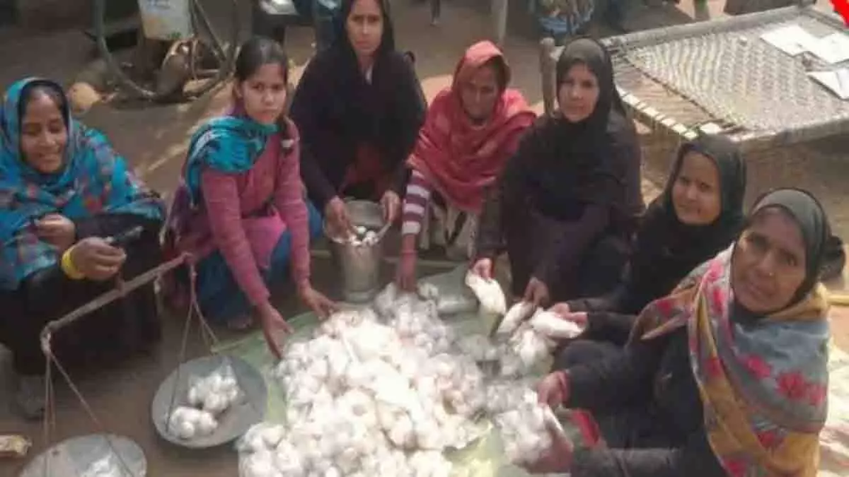 Uttar Pradesh: मशरूम खेती से शाहजहांपुर की महिला ने बनाया मिसाल Uttar Pradesh: मशरूम खेती से शाहजहांपुर की महिला ने बनाया मिसाल