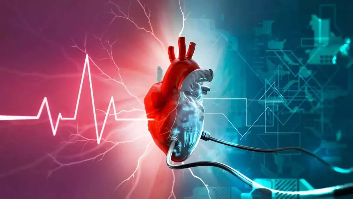 Heart Attack के बाद पहले 90 दिन होते हैं बेहद अहम – ऐसे रखें अपना खास ख्याल Heart Attack के बाद पहले 90 दिन होते हैं बेहद अहम – ऐसे रखें अपना खास ख्याल