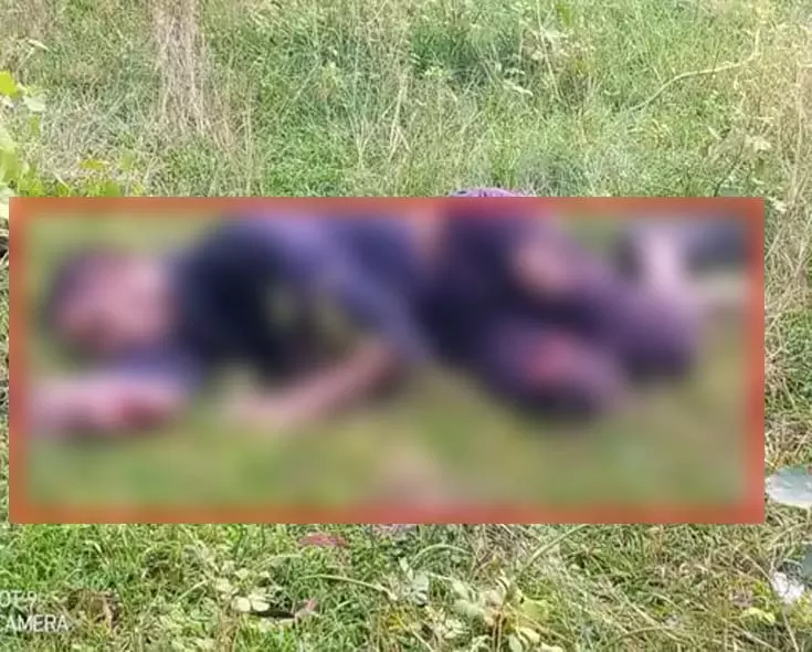 दुबटिया–मझगंवा मार्ग पर युवक का शव मिलने से हड़कंप, पुलिस जांच में जुटी दुबटिया–मझगंवा मार्ग पर युवक का शव मिलने से हड़कंप, पुलिस जांच में जुटी