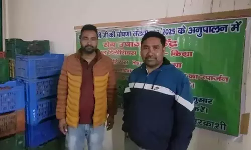 Uttarkashi: उद्यान विभाग की पहल, हर्षिल-धराली सेब खरीद में जुटा Uttarkashi: उद्यान विभाग की पहल, हर्षिल-धराली सेब खरीद में जुटा