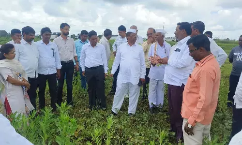 Nashik : मंत्री नरहरि ज़िरवाल ने बारिश प्रभावित पेठ तालुका का दौरा किया Nashik : मंत्री नरहरि ज़िरवाल ने बारिश प्रभावित पेठ तालुका का दौरा किया
