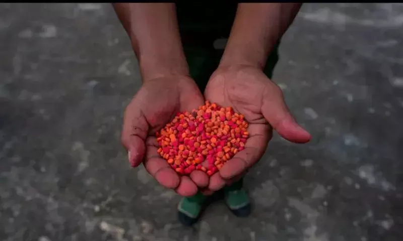 Manipur: 67.26 किलोग्राम WY टैबलेट जब्त, 2 तस्कर गिरफ्तार Manipur: 67.26 किलोग्राम WY टैबलेट जब्त, 2 तस्कर गिरफ्तार