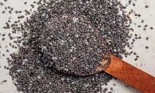 Chia Seeds For Skin: स्किन के लिए वरदान है चिया सीड्स, इस तरह डाइट में करें शामिल Chia Seeds For Skin: स्किन के लिए वरदान है चिया सीड्स, इस तरह डाइट में करें शामिल