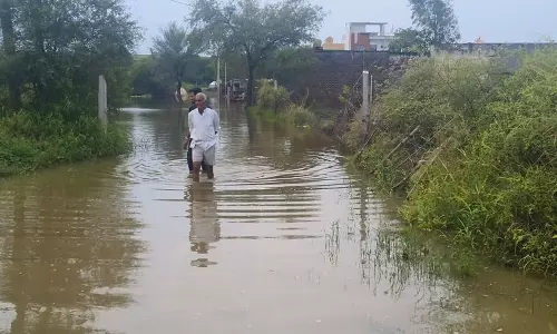 Hisar के 10 गांव अभी भी जलमग्न, सिंचाई विभाग ने जल निकासी अभियान तेज किया Hisar के 10 गांव अभी भी जलमग्न, सिंचाई विभाग ने जल निकासी अभियान तेज किया