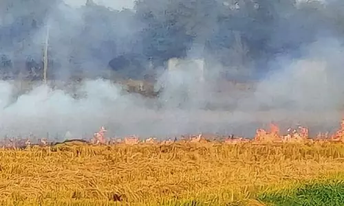 Haryana : कैथल में खेतों में आग लगने की घटनाएं शून्य हों डीसी ने अधिकारियों से कहा