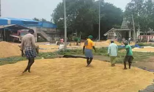 डेल्टा किसानों की मांग: धान में नमी की सीमा बढ़ाई जाए डेल्टा किसानों की मांग: धान में नमी की सीमा बढ़ाई जाए