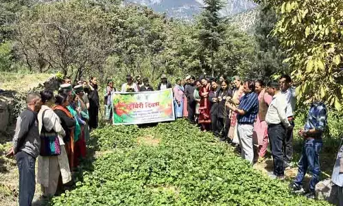 Kinnaur के किसानों ने स्ट्रॉबेरी दिवस पर रसायन मुक्त खेती का संकल्प लिया Kinnaur के किसानों ने स्ट्रॉबेरी दिवस पर रसायन मुक्त खेती का संकल्प लिया