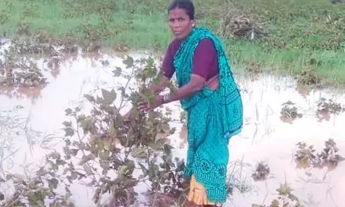 Karnataka : भारी बारिश, फसलें सड़ रही हैं Karnataka : भारी बारिश, फसलें सड़ रही हैं