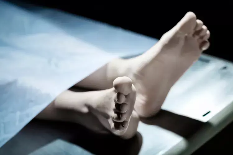 Kerala :  पीरमाडे उप जेल में 36 वर्षीय व्यक्ति मृत मिला आत्महत्या का संदेह