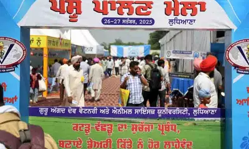 Ludhiana: विशेषज्ञों ने कहा कि पशुधन उत्पादकता बढ़ाने के लिए वैज्ञानिक तरीकों का इस्तेमाल करें