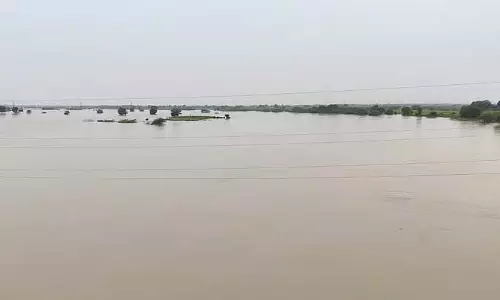 Bidar : मांजरा नदी खतरे के स्तर पर