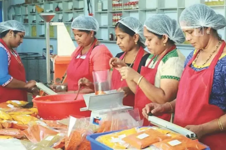 Kerala : कुदुम्बश्री कॉलेज परिसरों में दस्तक अगले महीने शुरू होंगे छात्र सहायक समूह Kerala : कुदुम्बश्री कॉलेज परिसरों में दस्तक अगले महीने शुरू होंगे छात्र सहायक समूह