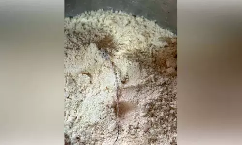 Kerala : आंगनवाड़ी से खरीदे गए अमृत चूर्ण में एक मरी हुई छिपकली पाई गई Kerala : आंगनवाड़ी से खरीदे गए अमृत चूर्ण में एक मरी हुई छिपकली पाई गई