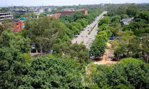 Chandigarh में वन क्षेत्र एक दशक में 7 वर्ग किलोमीटर से अधिक बढ़ा Chandigarh में वन क्षेत्र एक दशक में 7 वर्ग किलोमीटर से अधिक बढ़ा