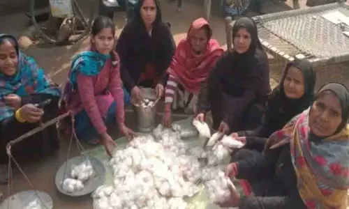 Uttar Pradesh: मशरूम खेती से शाहजहांपुर की महिला ने बनाया मिसाल