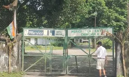 भारी बारिश के कारण डुआर्स स्थित चिंचुला चाय बागान बंद