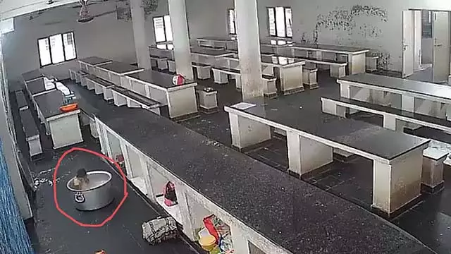 Anantapuram : गर्म दूध के बर्तन में गिरने से छोटे बच्चे की मौत Anantapuram : गर्म दूध के बर्तन में गिरने से छोटे बच्चे की मौत