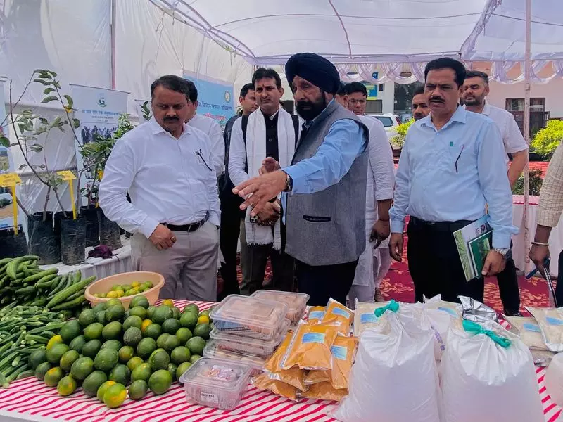 कृषि में गुणवत्ता और उद्यमिता भारत को वैश्विक नेता बनाने के लिए महत्वपूर्ण: मुख्यमंत्री के ओएसडी कृषि में गुणवत्ता और उद्यमिता भारत को वैश्विक नेता बनाने के लिए महत्वपूर्ण: मुख्यमंत्री के ओएसडी
