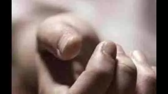 Panchkula: 16 वर्षीय लड़की फांसी पर लटकी मिली Panchkula: 16 वर्षीय लड़की फांसी पर लटकी मिली